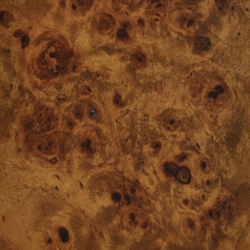 Dark Burl wood swatch