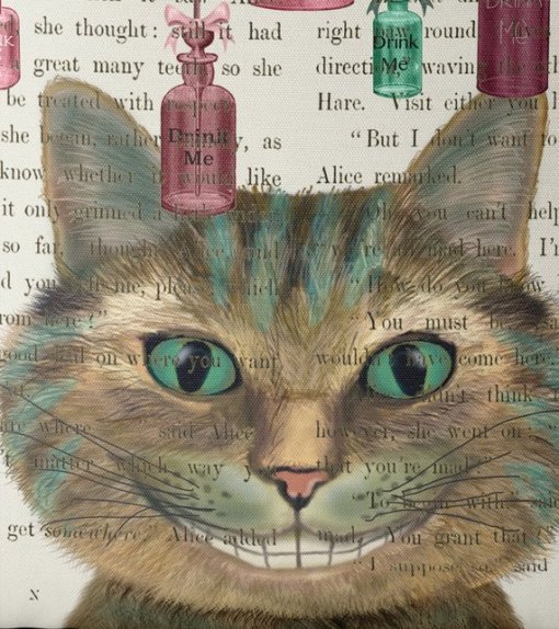 Alice in Wonderland - Cheshire Cat and Bottles - Image 3