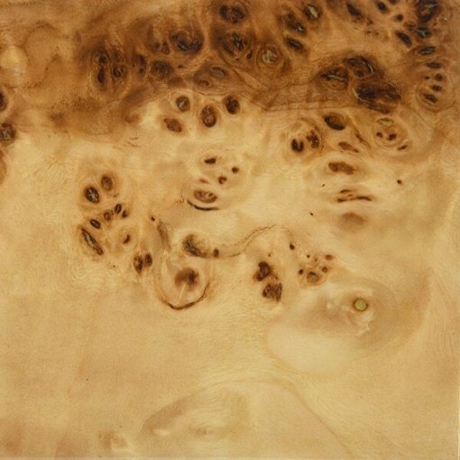Burl Wood Counter Chair - White Linen - Image 2