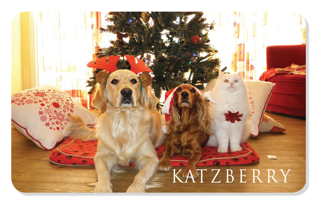 Holiday eCard with 2 dogs and a cat