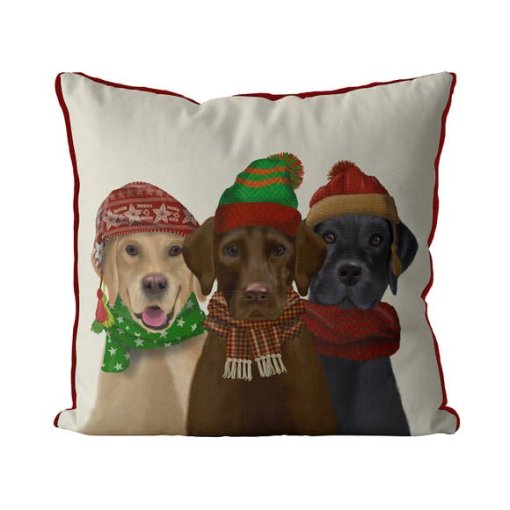 3 Labs in Hats & Scarves - Image 2