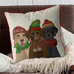 3 Labs in Hats & Scarves