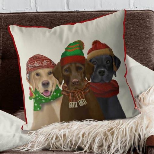 3 Labs in Hats & Scarves