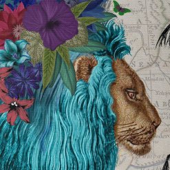 African Lion Blue closeup