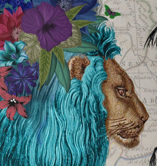 African Lion Blue closeup