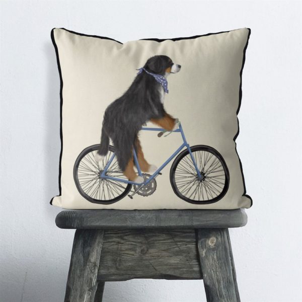 Bernese Dog on bicycle with cream background