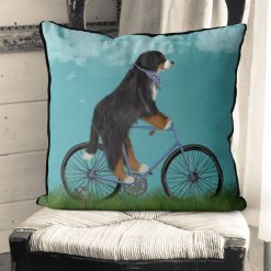 Bernese Dog on bicycle with sky background