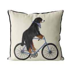 Bernese Dog on bicycle with cream background