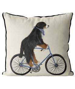 Bernese Dog on bicycle with cream background