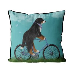 Bernese Dog on bicycle with sky background