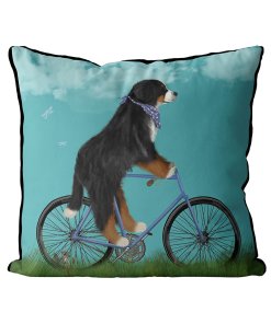 Bernese Dog on bicycle with sky background