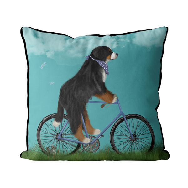 Bernese Dog on bicycle with sky background