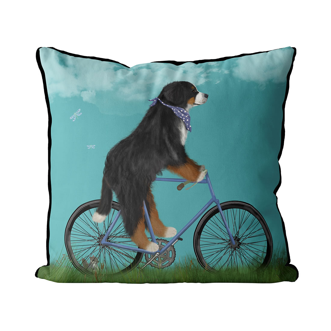 Bernese Dog on bicycle with sky background