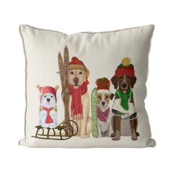 Winter Sports Fans Pillow
