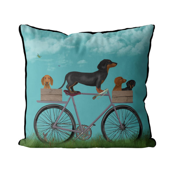 Dachshunds on Bicycle Sky