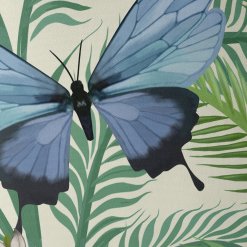 Butterfly garden 3 closeup