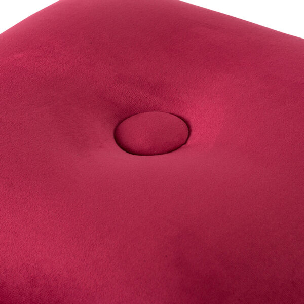 Raspberry cube with nail heads closeup top view.