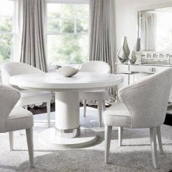 Silhouette arm chair around dining table.