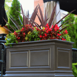Covington planter in brownstone