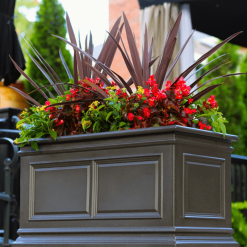 Covington planter in brownstone
