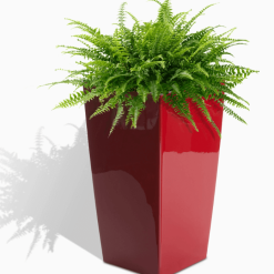 22 Modena Square Planter Red w fern