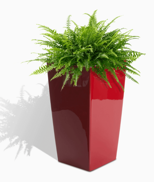 22 Modena Square Planter Red w fern