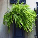 27" Pillar Planter black lifestyle