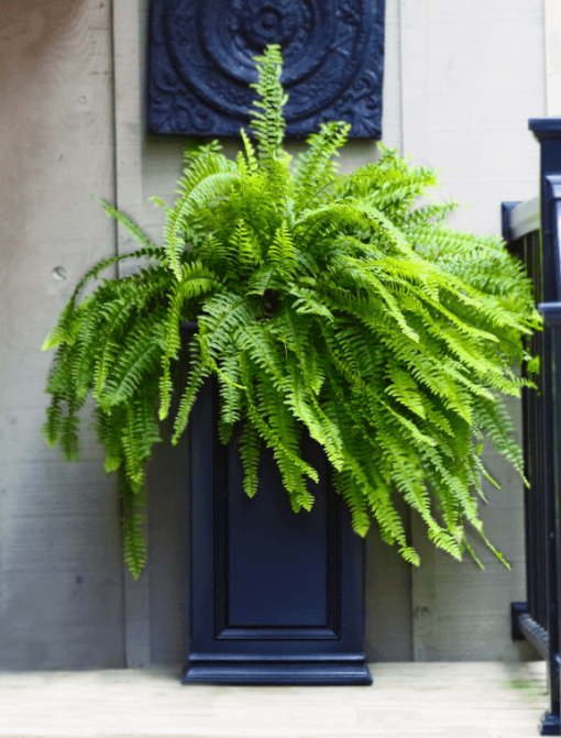 27" Pillar Planter black lifestyle