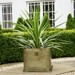Aged Brass Planter lifestyle