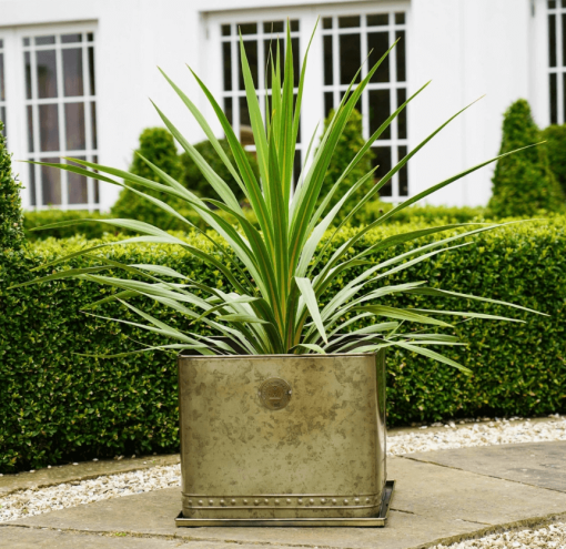 Aged Brass Planter lifestyle