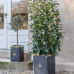 Richmond Outdoor Ribbed Planter Set lifestyle