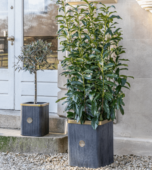 Richmond Outdoor Ribbed Planter Set lifestyle